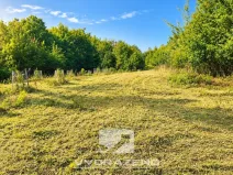 Prodej pole, Ústí nad Labem, 9862 m2