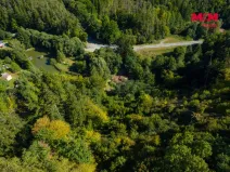 Prodej lesa, Lomnice, 7450 m2