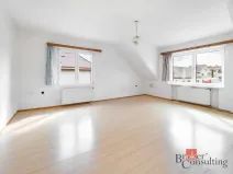 Prodej rodinného domu, Březnice, Za sokolovnou, 236 m2