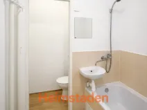 Pronájem bytu 1+kk, Frýdek-Místek - Místek, Ostravská, 24 m2