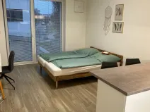 Pronájem bytu 1+kk, Olomouc, Rokycanova, 34 m2