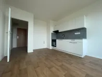 Pronájem bytu 1+kk, Ústí nad Labem, Sociální péče, 24 m2