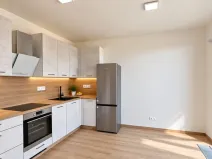 Pronájem bytu 2+kk, Praha, Haenkeho, 43 m2