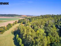 Prodej lesa, Račice nad Trotinou, 31440 m2