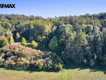 Prodej lesa, Račice nad Trotinou, 31440 m2