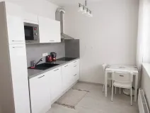 Pronájem bytu 1+kk, Brno, Nad Přehradou, 24 m2