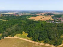 Prodej lesa, Jeviněves, 2859 m2