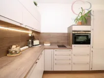 Pronájem bytu 1+kk, Plzeň - Jižní Předměstí, Inženýrská, 50 m2