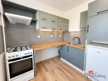 Pronájem bytu 1+1, Dolní Benešov, Osada míru, 32 m2
