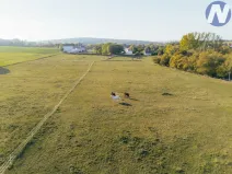 Prodej zemědělského objektu, Stříbro - Lhota u Stříbra, 200 m2