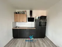 Prodej bytu 1+1, Teplice, Československých legií, 48 m2
