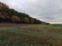 Prodej pole, Polní Chrčice, 10141 m2
