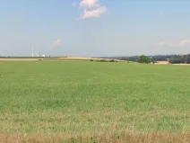 Prodej pole, Vysoká, 11301 m2