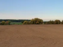 Prodej pozemku, Bělušice, 5525 m2