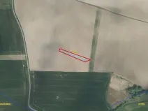 Prodej pole, Trusnov, 2975 m2