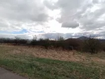 Prodej podílu sadu/vinice, Chotiměř, 4287 m2