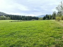 Prodej pozemku pro bydlení, Písek, 1631 m2