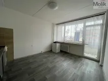 Prodej bytu 1+kk, Most, M. G. Dobnera, 21 m2