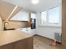 Prodej bytu 1+1, Opava - Kateřinky, Grudova, 30 m2