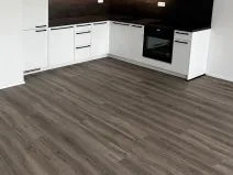Pronájem bytu 2+kk, Plzeň, Františka Kováříka, 61 m2
