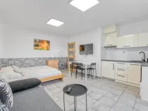 Pronájem bytu 1+kk, Trojanovice, 32 m2
