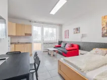 Pronájem bytu 1+kk, Trojanovice, 32 m2