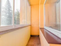 Pronájem bytu 1+kk, Trojanovice, 32 m2