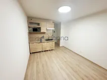 Pronájem bytu 1+kk, Praha, Kubánské náměstí, 19 m2