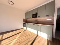 Pronájem bytu 1+kk, Plzeň - Jižní Předměstí, Železná, 35 m2