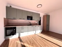 Pronájem bytu 1+kk, Plzeň - Jižní Předměstí, Železná, 35 m2