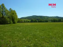 Prodej louky, Vysoká Srbská, 26090 m2
