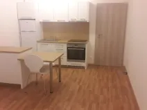 Pronájem bytu 1+kk, Olomouc, Aloise Rašína, 30 m2