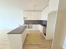 Pronájem bytu 3+kk, Olomouc, 17. listopadu, 88 m2