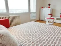 Pronájem bytu 1+kk, Brno, Sevastopolská, 38 m2