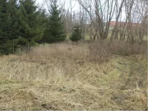 Prodej pozemku, Horní Planá, 1390 m2