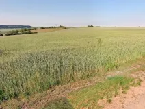 Prodej pozemku, Opočnice, 3597 m2