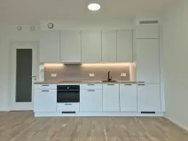Prodej bytu 1+kk, Praha - Žižkov, Kaplířova, 44 m2