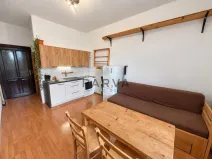 Pronájem bytu 1+kk, Plzeň - Severní Předměstí, Lipová, 26 m2