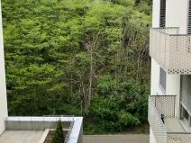Pronájem bytu 2+kk, Praha - Žižkov, Hartigova, 61 m2