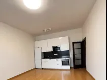 Pronájem bytu 2+kk, Praha - Vinohrady, Nad olšinami, 48 m2