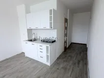 Prodej bytu 1+1, Ústí nad Labem - Neštěmice, Sibiřská, 42 m2