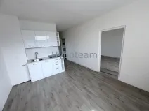 Prodej bytu 1+1, Ústí nad Labem - Neštěmice, Sibiřská, 42 m2