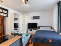 Prodej bytu 1+kk, Praha - Vinohrady, Na Folimance, 28 m2