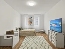 Prodej bytu 1+1, Ústí nad Labem - Střekov, Nová, 42 m2