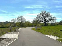 Prodej pozemku pro bydlení, Buš, 1243 m2