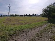 Dražba pozemku pro bydlení, Vrbice, 9030 m2