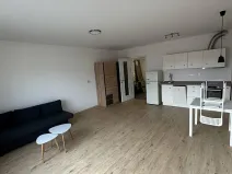 Pronájem bytu 1+kk, České Budějovice, Chelčického, 38 m2