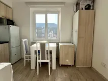 Pronájem bytu 1+1, Ostrava - Zábřeh, Čujkovova, 28 m2