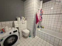 Pronájem bytu 3+1, Most, Růžová, 1111 m2