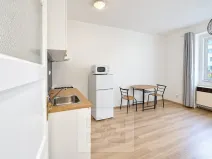 Pronájem bytu 1+kk, Praha - Libeň, Kandertova, 27 m2